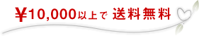 \10,000円以上で送料無料